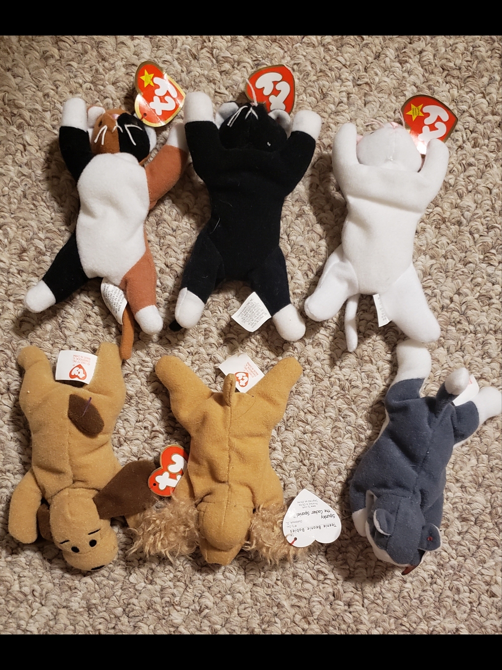 McDonald's Teenie Beanie Babies Dogs & Cats 90's